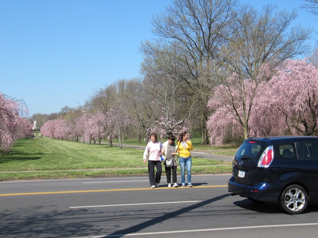 Walking to and from the park is often difficult