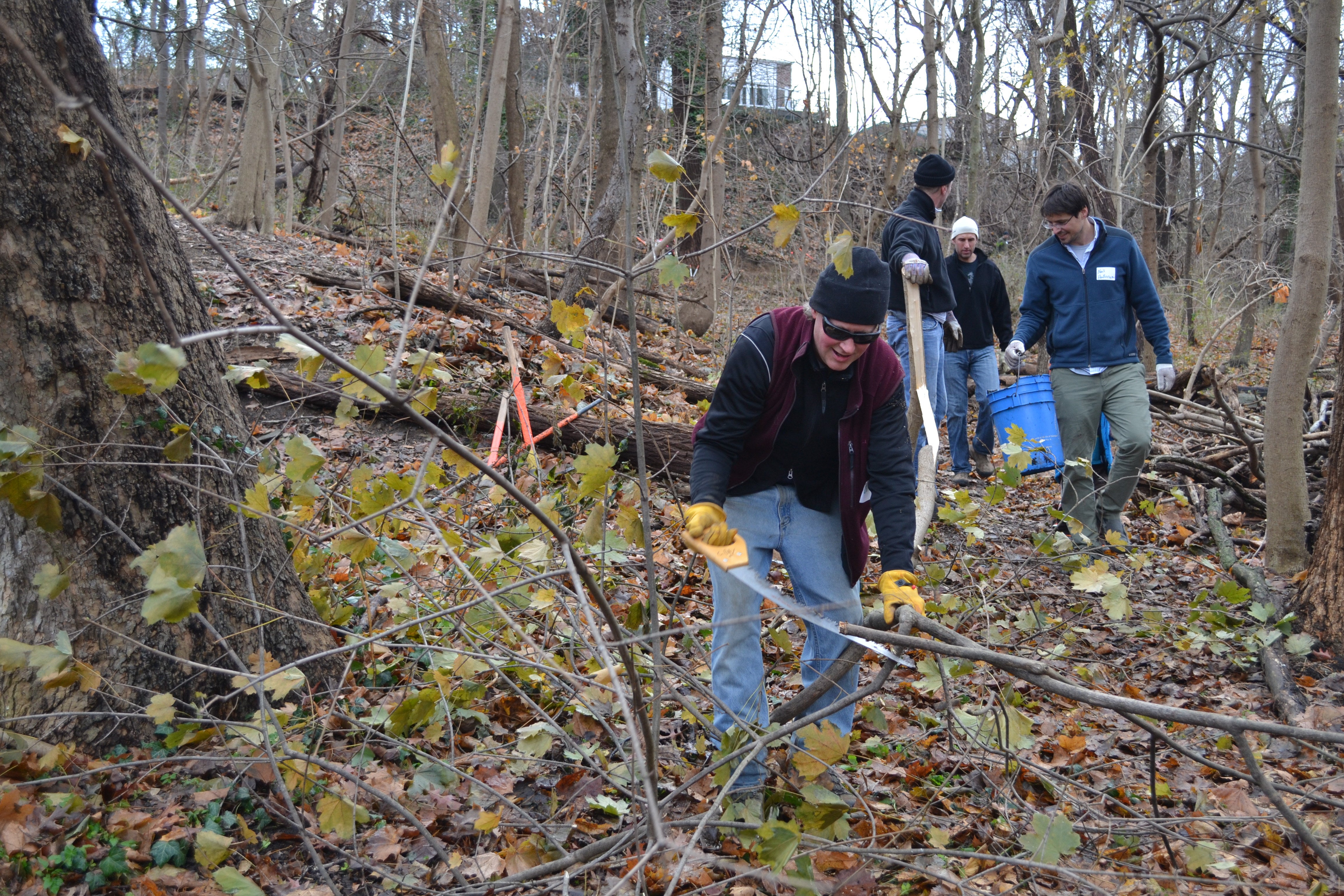 Wissahickon East Project