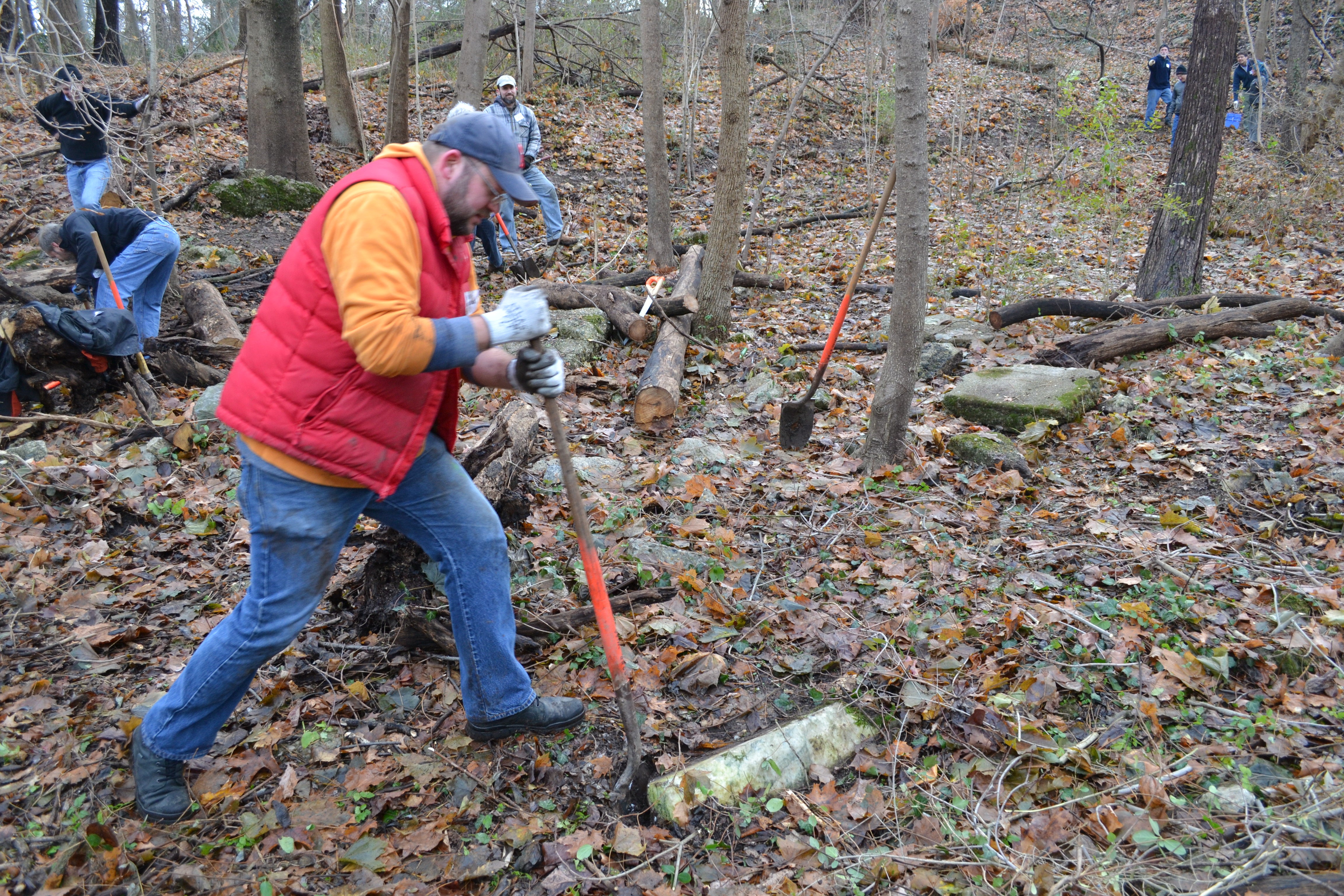 Wissahickon East Project