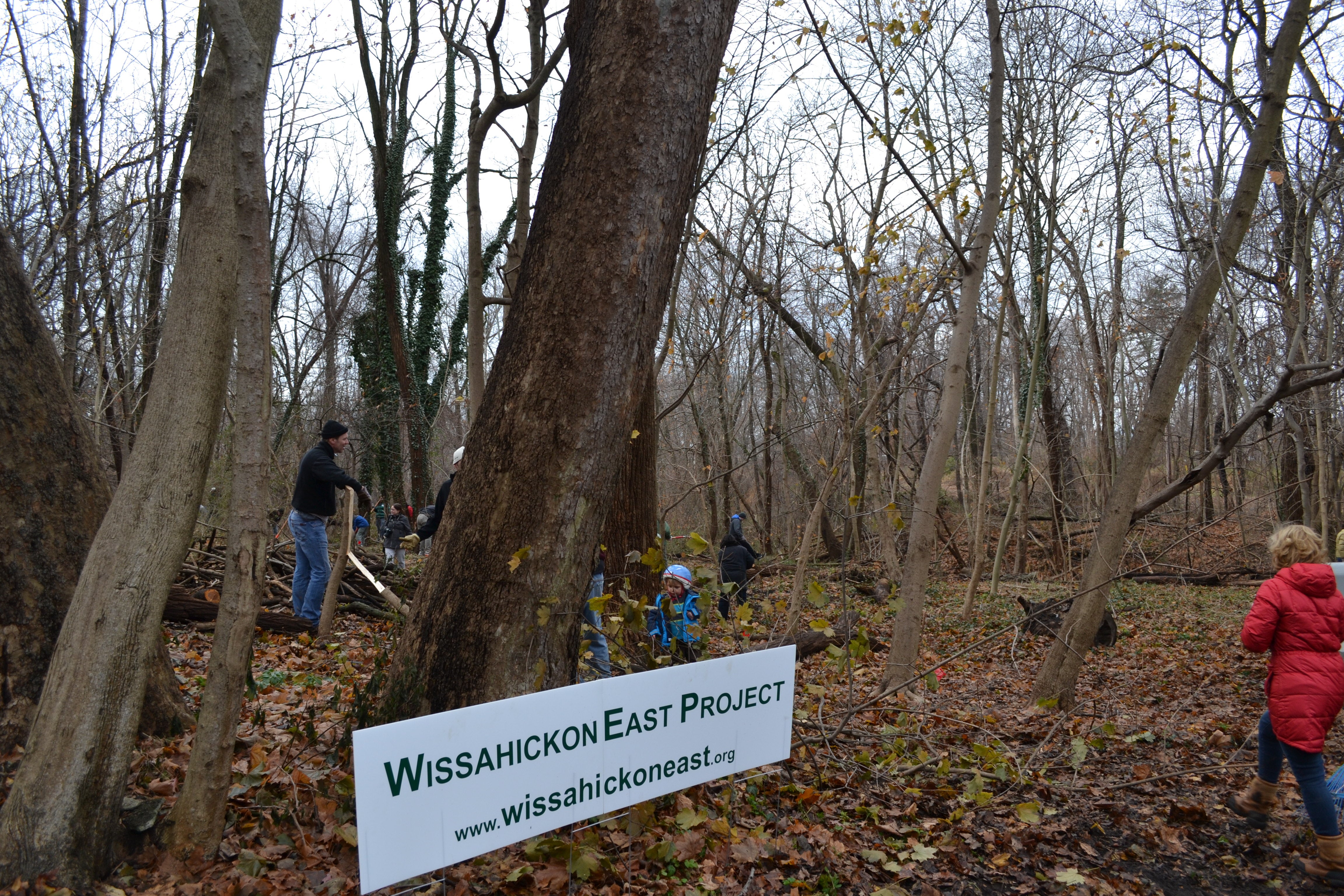 Wissahickon East Project