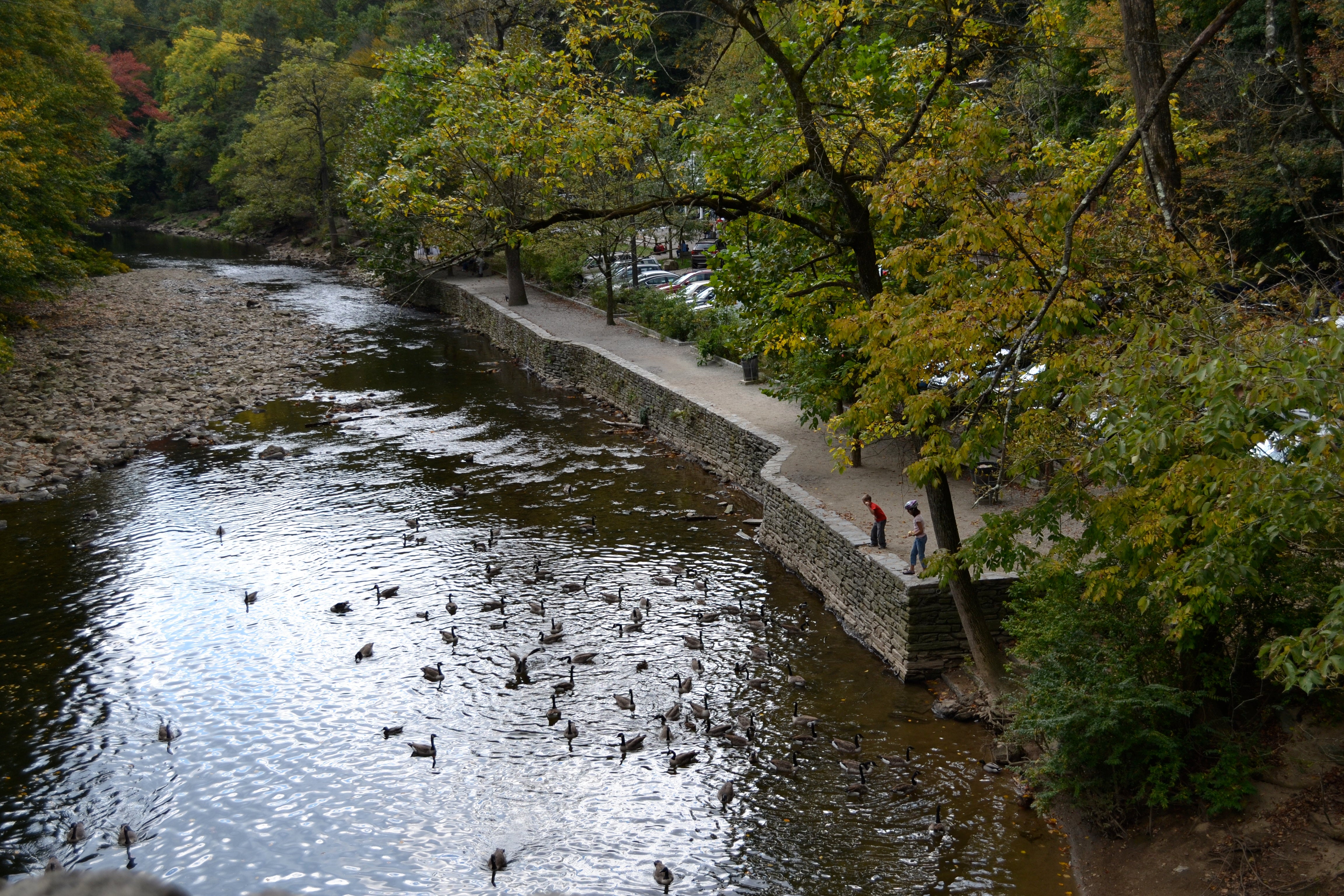 Wissahickon Valley Park