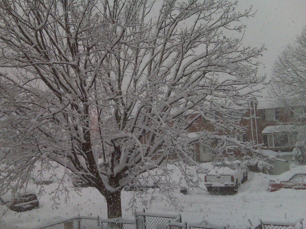 The view at Kenny and Elnora roads in Parkwood, submitted by a NEast Philly reader.