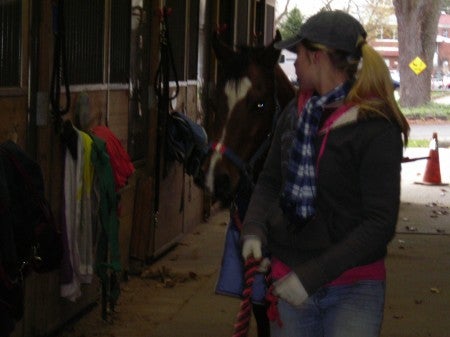 A volunteer leads a horse to the outside riding area.