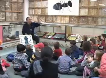 Students learn about arthropods at Holmesburg's Insectarium.