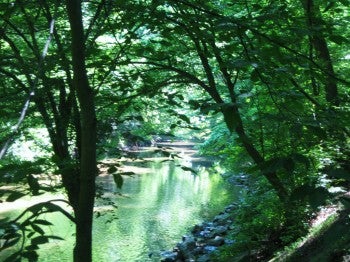 A scenic view of the Pennypack Creek